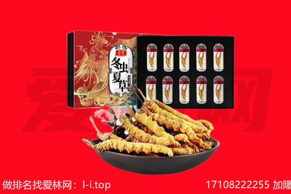 铜仁玉屏县回收虫草.jpg